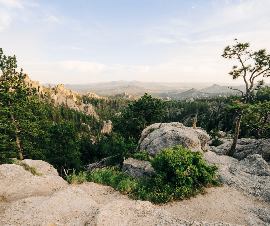 Custer State Park