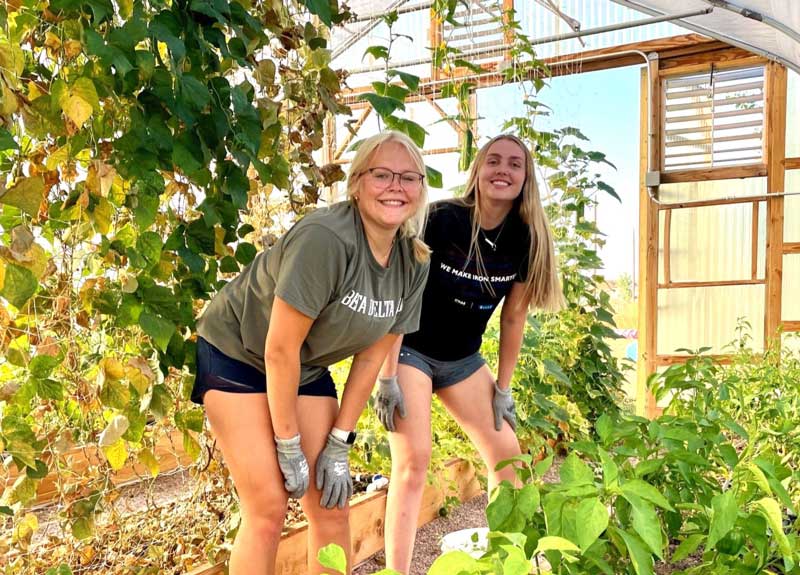 Volunteering Volunteering