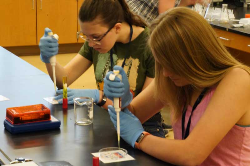 Musical electronics camps page