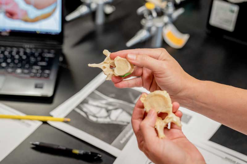 Musical electronics camps page