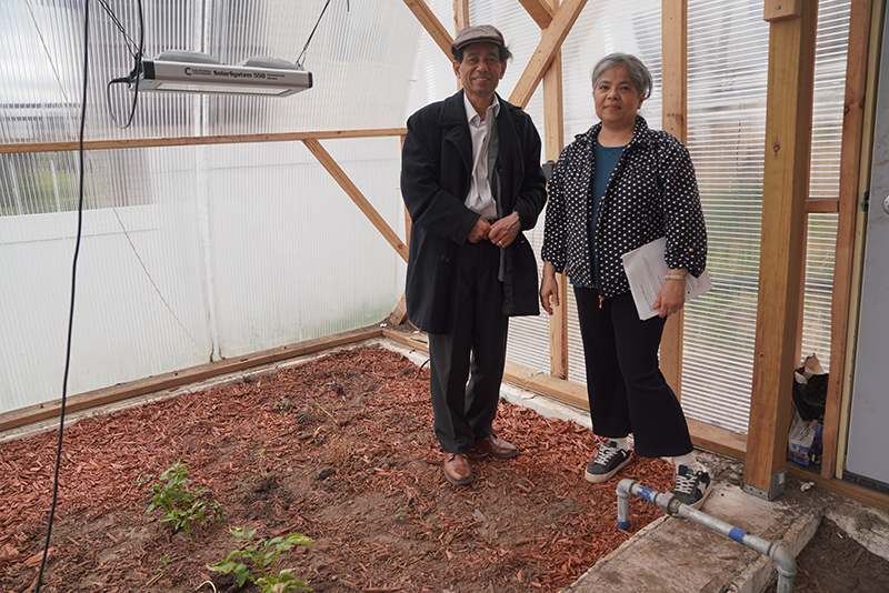 Rajesh and Anu Shende in their greenhouse prototype.